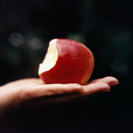 Consumo de Drogas: uma Revisão Crítica e suas Consequências Psicossociais