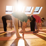 Corpo em Fluxo – Energia, Emoção e Grupo no Cuidado em Saúde