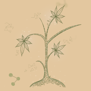 As Substâncias Psicoativas no Campo da Saúde: sua formação lhe capacita para o cuidado com pessoas que usam drogas?