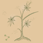 As Substâncias Psicoativas no Campo da Saúde: sua formação lhe capacita para o cuidado com pessoas que usam drogas?