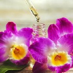 Homeopatia