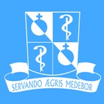 Doença Falciforme: um olhar inovador e sensível sobre as novas terapias de cuidado.
